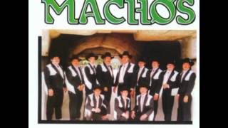 Banda Machos-  Traficantes Michoacanos