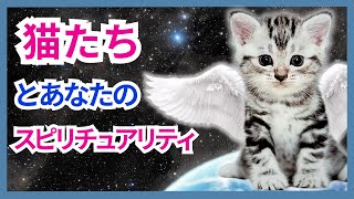 猫のスピリチュアルパワーを発見！ – 天使たちはあなたに知ってもらいたいのです！