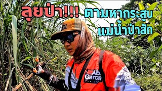 ลุยป่า!!! ตามหาปลากระสูบแม่น้ำป่าสัก รอกAbu Garcia MAX STX  คันFenwick IronHawk เหยื่อWIPWUP6.5