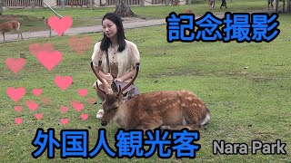 外国人観光客🦌鹿と記念撮影❤️奈良公園