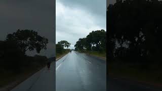 மரம் இலை துளிர் விட.. 🌳        #rain #bikelife #traveler #travelvlog #tamil #explore #naturelovers