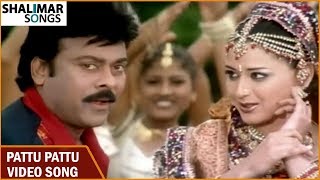 Shankar Dada M.B.B.S || Pattu Pattu Video Song || Chiranjeevi || Sonali Bendre || Devi Sri Prasad