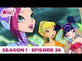 Winx Club - Season 1 Episode 26 - The Witches's Downfall - [FULL EPISODE]