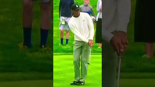 Tiger Woods Chipping Technique #shorts #trending #golf #tigerwoods