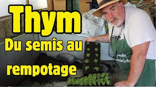 10 Astuces pour réussir le semis et le repiquage du Thym.