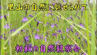 里山の自然に魅せられて【初秋の自然観察会】