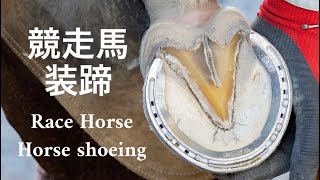 競走馬の装蹄作業#18 / Horse shoeing