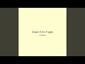 Dream Echo Fragile