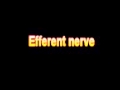 What Is The Definition Of Efferent nerve - Medical Dictionary Free Online