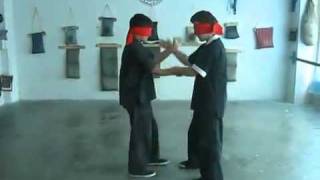 kids with excellent wing chun Chi Sao Closed Eyes.mp4