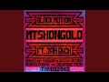 Mtshongolo (Invaders of Afrika Mix) (feat. Jah Rich)