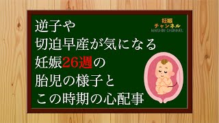 【妊娠26週】逆子や切迫早産になってませんか？妊娠26週の胎児の様子とこの時期の心配事