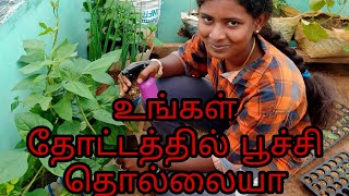 உங்கள்த் தோட்டத்தில் பூச்சி தொல்லையா?...