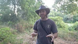 Using Playbacks While Birding: Pros and Cons