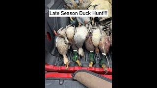 The Final Day of the 2024-25 Hunting Season - Will We Get a Limit of Ducks?