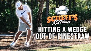 Scottie Scheffler Teaches How To Hit A Wedge Out Of The Pine Straw | TaylorMade Golf