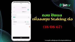 ถอน ปันผล เพื่อลงทุน Staking ต่อ