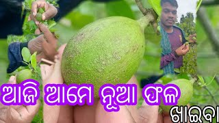 ଏଇ ଫଳ ର ନାଆଁ କଣ  କହିଲେ 👌👌👌👌#viral video #supersipu