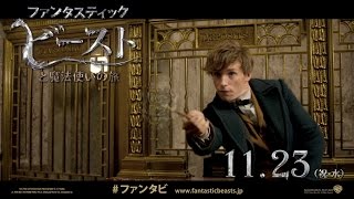 映画『ファンタスティック・ビーストと魔法使いの旅』オンラインSPOT（魔法編6秒）【HD】2016年11月23日公開