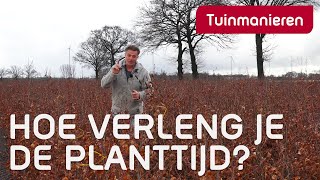 Het aanplanten van planten | Wanneer is het Planttijd? | Tuinmanieren