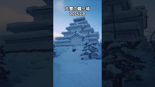 大雪の鶴ヶ城 2025.2.8