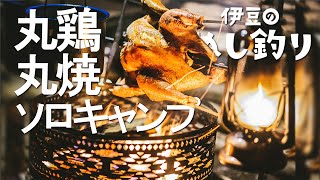 ソロキャンプ｜焚火で天城軍鶏丸焼き｜伊豆の食材と沼津ラガーで優勝しました