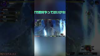 世界で最も愚かなハンター【MHXX】