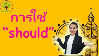 การใช้ should