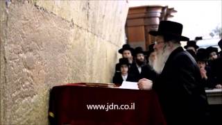 Nadvorna Rebbe Davening At The Kosel After Pesach 5776