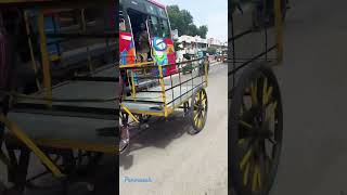 Nallamani Bus #bus #bushornsound #trendingshorts #horn #tnbus #nallamani #tamil