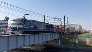 2024年3月16日　EF210貨物列車と315系