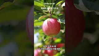 두가지 신과 두가지 씨 #진짜바로알자성경과신천지 #신천지 #이만희 #신천지천안교회