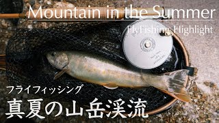 真夏の山岳渓流｜フライフィッシング 2024.7.13 Flyfishing Highlight