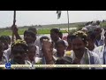 vinukonda ysrcp leader bolla brahmananda naidu participates in sanghibhava paadayatra