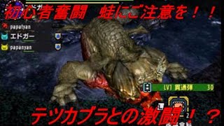 (MHX)モンスターハンタークロス初心者の冒険　蛙討伐編