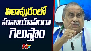 YCP Will Win In Pithapuram | Mudragada Padmanabham | Pawan Kalyan | Ntv