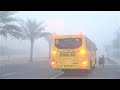 UAE Weather Drive Slow it's Another foggy Morning Video