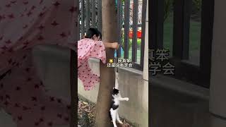 有的猫萍水相逢，却像相处了很久的家人… #我和流浪猫的故事 #这么可爱的小猫咪 #小猫咪也会有心事吗