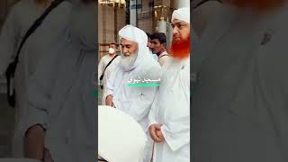 Maulana Ilyas Qadri In Masjid E Nabvi Shareef - #shorts #ytshorts