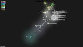 google/adk-web - Gource visualisation