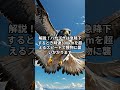 空の覇者！鳥類クイズで君の知識を試そう！