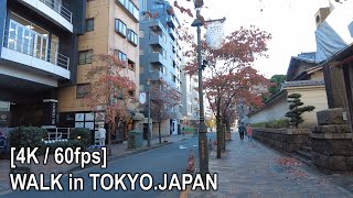 [4K/60fps] 広尾駅から恵比寿駅まで散歩 [東京.日本] [環境音ASMR]