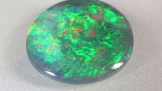 Brilliant Large Black Opal Gemstone (Lightning Ridge NSW, Australia)