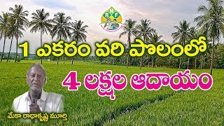 ఒక ఎకరా వరి పొలం లో  నాలుగు లక్షలు||  How to Earn 4 Lakhs in 1 Acre paddy field