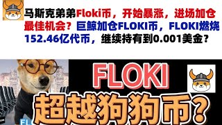 马斯克弟弟Floki币，开始暴涨，进场加仓最佳机会？巨鲸加仓FLOKI币，FLOKI燃烧152.46亿代币，继续持有到0.001美金？Floki币|马斯克弟弟发行币|Floki币行情分析！