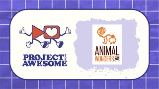 Animal Wonders: Project for Awesome 2025