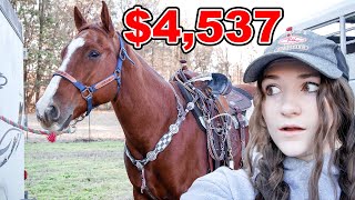 $4,537 VS $865 TACK SET!