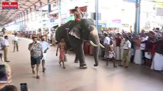 ​ഗുരുവായൂർ ആനയോട്ടം; ​ഗോപി കണ്ണൻ ജേതാവ് | Guruvayur