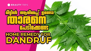 ആരിവേപ്പ് ഉണ്ടോ എന്നാൽ താരൻ  ഇനി കണ്ടം വഴി ഓടും| remedy for dandruf