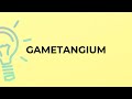 What is the meaning of the word GAMETANGIUM?